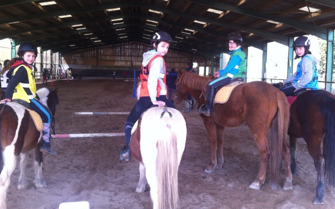 Résultats Championnat départemental d’Equitation